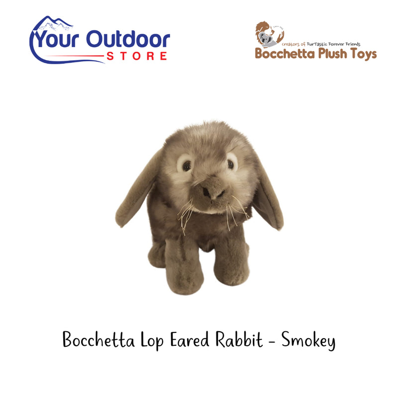 Bocchetta lop Eared Rabbit - Smokey. Hero Image Showing Logos and Title. 