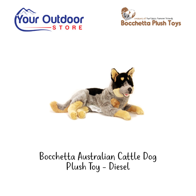 Bocchetta Australian Cattle Dog Plush Toy - Diesel. Hero Image Showing logos and Title. 