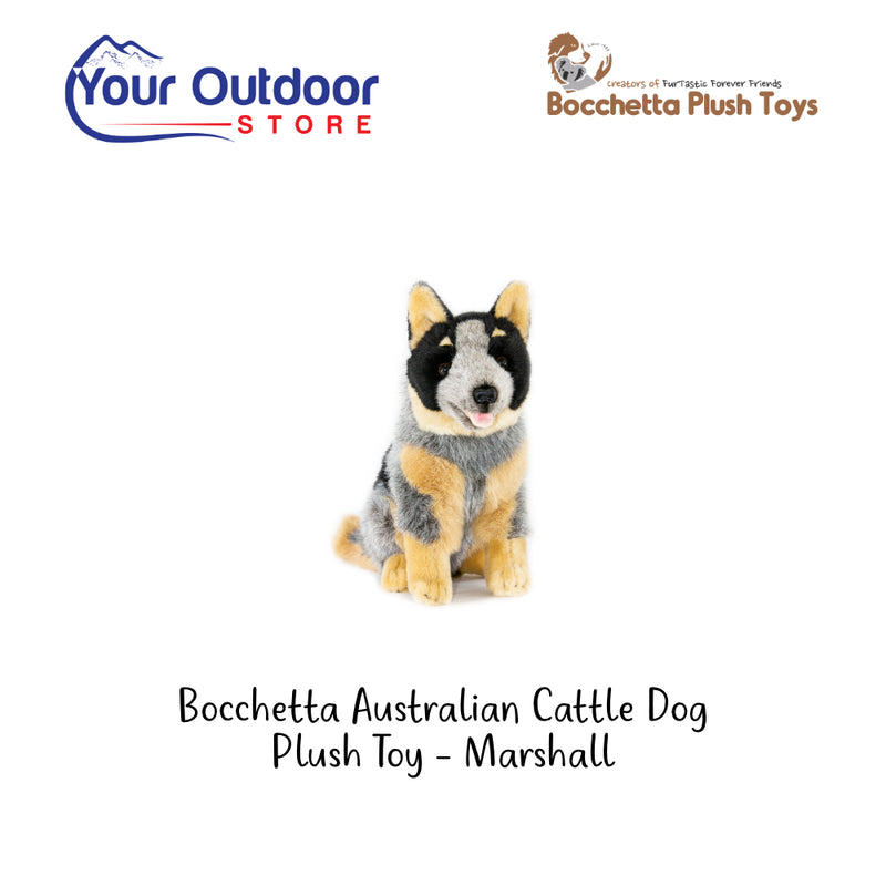 Bocchetta Australian Cattle Dog Plush Toy - Marshall. Hero Image Showing Logos and Title. 