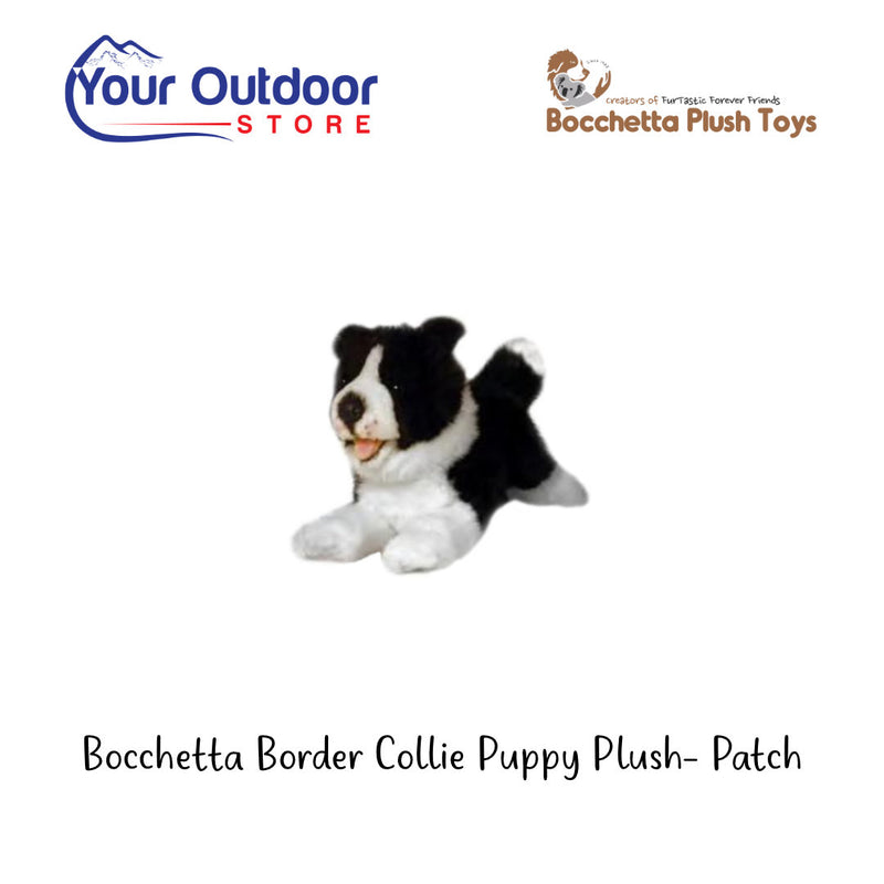 Border Collie | Bocchetta Border Collie Puppy Plush Toy- Patch. Hero image with logos and title