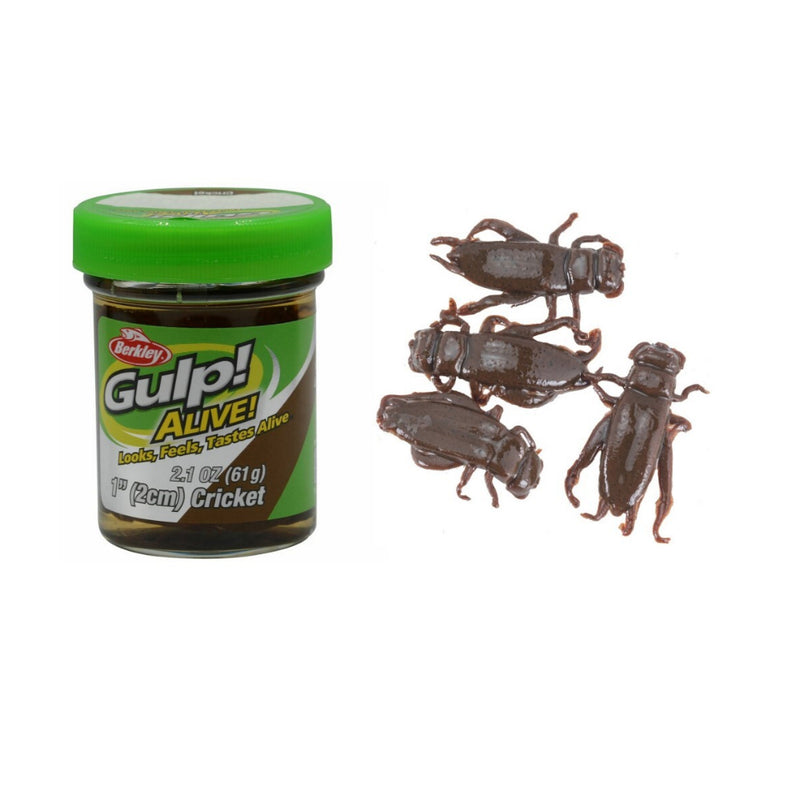 Gulp Alive Crickets, Showing 61g Tub and Crickets.