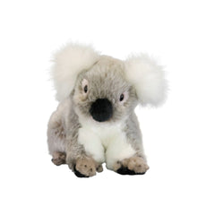 Angel | Bocchetta Koala Plush Toy Image Showing No Logos Or Titles.