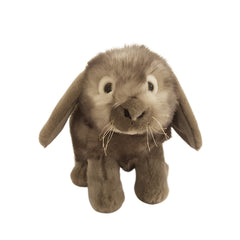 Smokey Grey | Bocchetta lop Eared Rabbit - Smokey. Front View. 