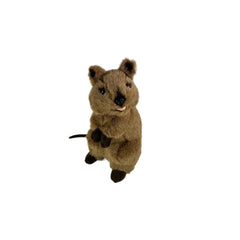 Roger | Bocchetta Quokka Plush Toy Image Showing No Logos Or Titles.