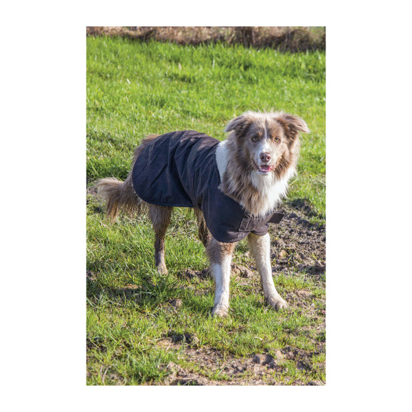 Brown | Burke And Wills Oilskin Dog Coat Image Showing The Coat On A Dog , Standing View.