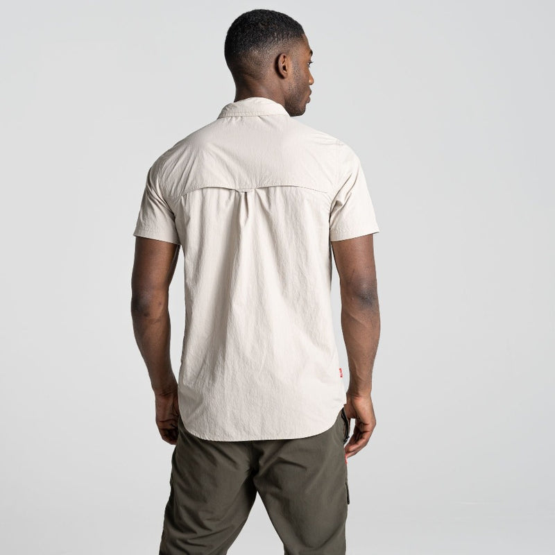 Parchment | Back view of shirt on Model.