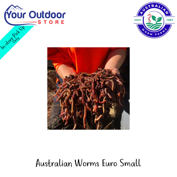 Australian Worms Euro Small | Hero Image Showing All Logos And Titles.