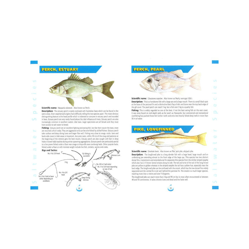 AFN New South Wales Fish Guide | Image Showing Layout And Illustrations Of The Book.
