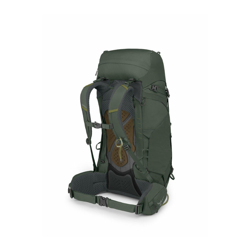 Bonsai Green |  Osprey Kestrel 48L Hiking Pack Image Showing Back View.