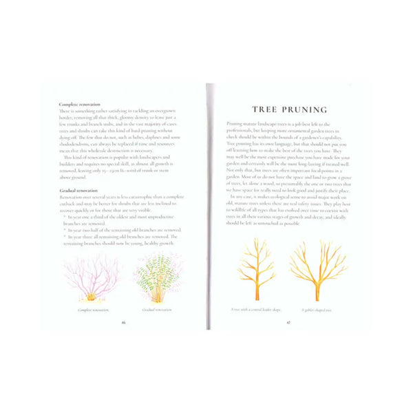 Simon Akeroyd | Perfect Pruning Guide By Simon Akeroyd Image Showing The Layout Of The Pages Inside The Book.