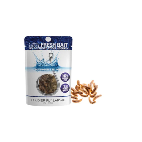 Soldier  Fly Larvae | Fishing Frenzy Fresh Bait Image Showing Packet With Larvae Next To It.
