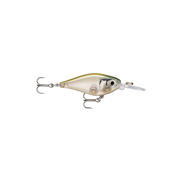 Ghost Shiner | Rapala X-Light Shad Lure Image Showing No Logos Or Titles.