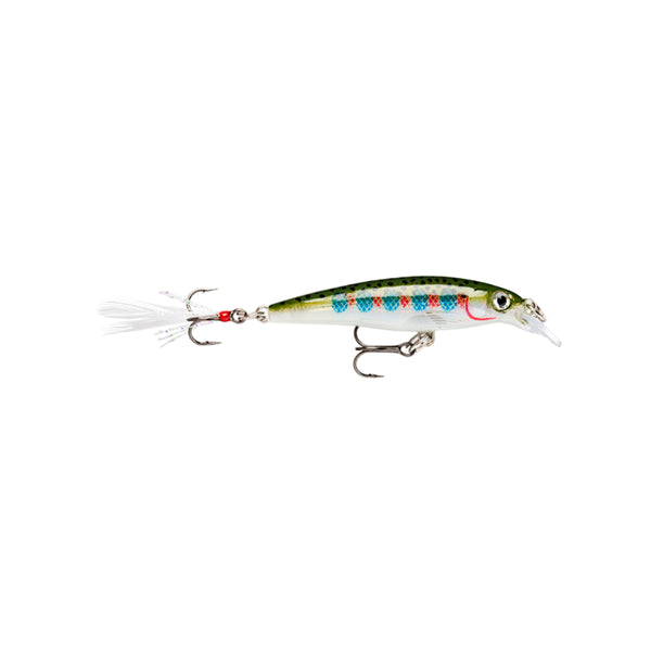Rainbow Trout | Rapala X-Rap Lure Image Showing No Logos Or Titles.