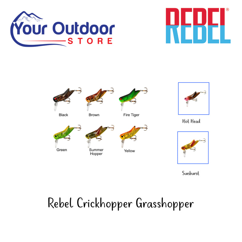 Rebel Crickhopper Grasshopper
