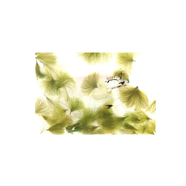 Olive | Waspi CDC Puffs Image Showing No Logos Or Titles.