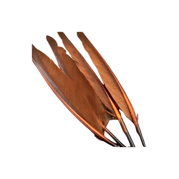 Brown | Waspi Duck Wing Quills Matched Pairs Image Showing No  Logos Or Titles.