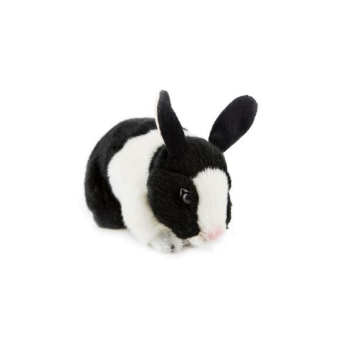Flopsy | Black and White Dutch Rabbit. 