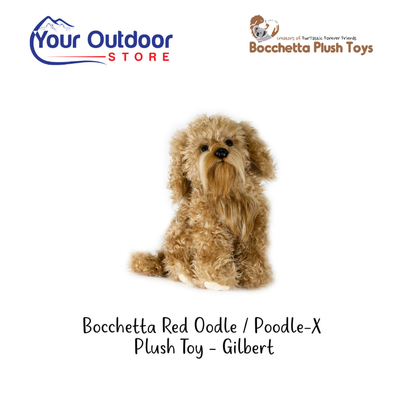 Bocchetta Red Oodle / Poodle-X Plush Toy - Gilbert. Hero Image Showing Logos and Title.