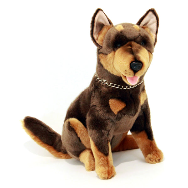 Cannon | Red and Tan Australian Kelpie.