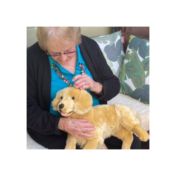 Lucky | Being an Elderly Companion on Lap. 