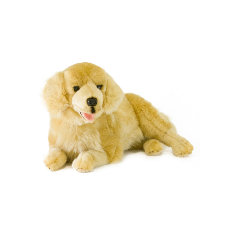 Golden retriever hotsell with stuffed animal