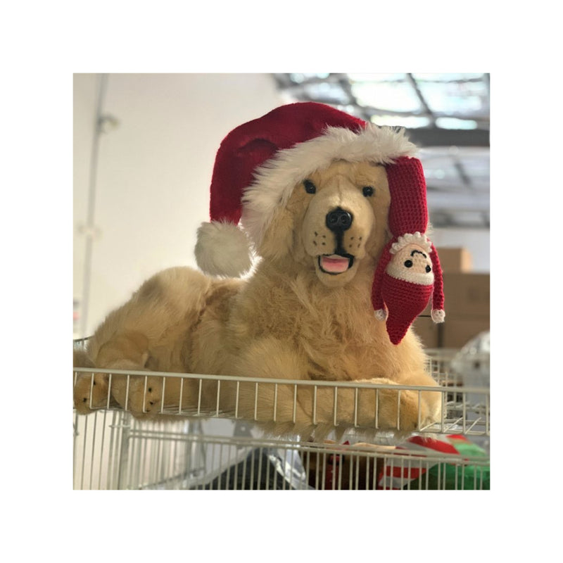 Spencer | Golden Retriever Sitting in Trolley with Santa Hat on. 