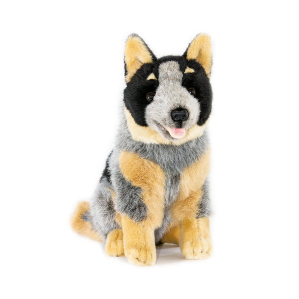 Marshall | Australian Cattle Dog Plush Toy.
