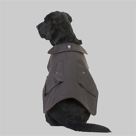 Swandri clearance dog coat