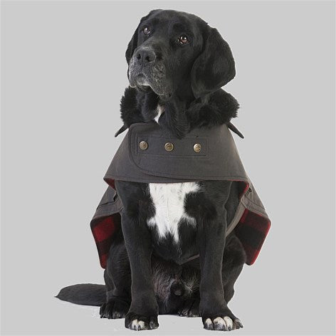 Swanndri Hunter Dog Coat Sitting view of the front on a dog.
