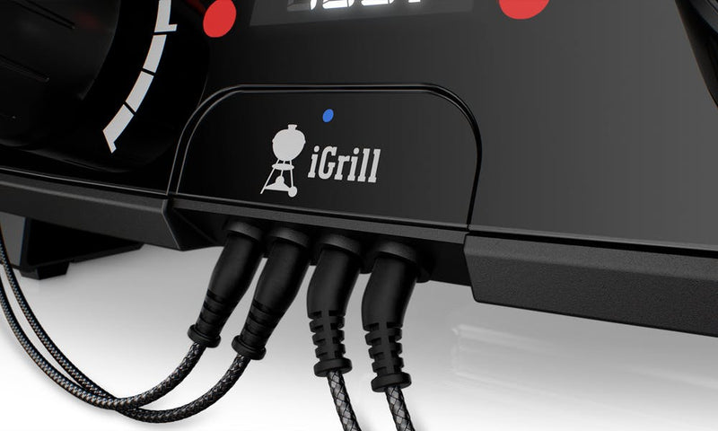 Black | Close up of iGrill plug point