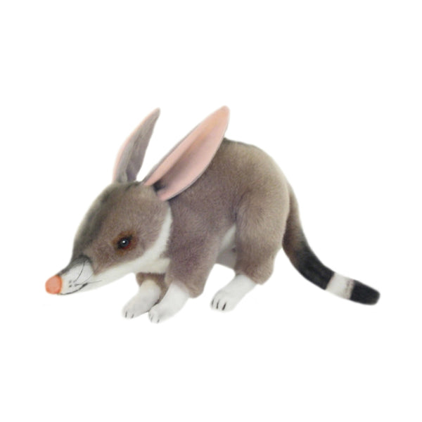 Benny | Plush Toy Bilby Standing Up. 
