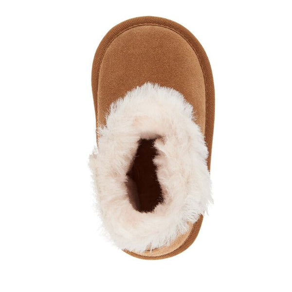 Chestnut | Birds Eye view of slipper