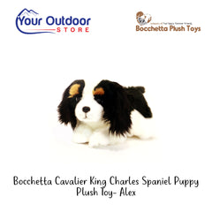 King Charles | Bocchetta Cavalier King Charles Spaniel Puppy Plush Toy- Alex. Hero Image With Title and Logos