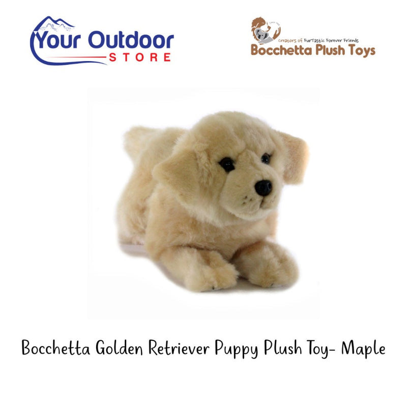 Golden Retriever | Bocchetta Golden Retriever Puppy Plush Toy - Maple. Hero image with title and logos