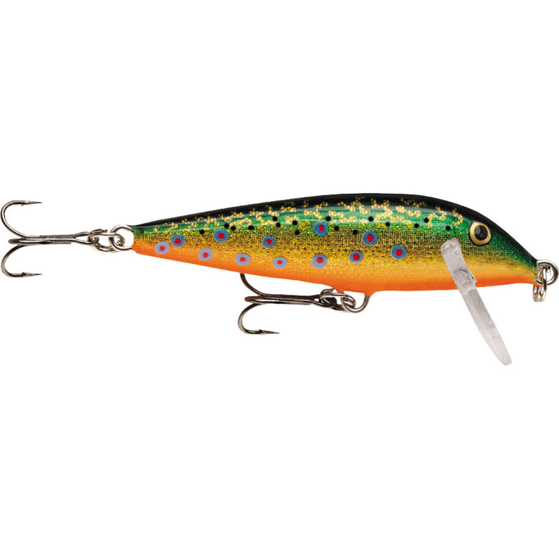 Brook Trout | Rapala CountDown Sinking Lure
