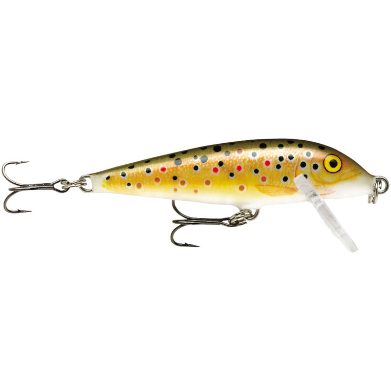 Brown Trout | Rapala CountDown Sinking Lure