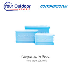 Companion Ice Bricks, Hero image with title and logos