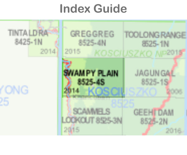 Swampy Plain 8525-4-S NSW Topographic Map 1 25k