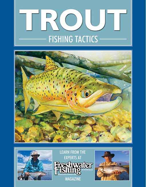 Trout Fishing Tactics. book