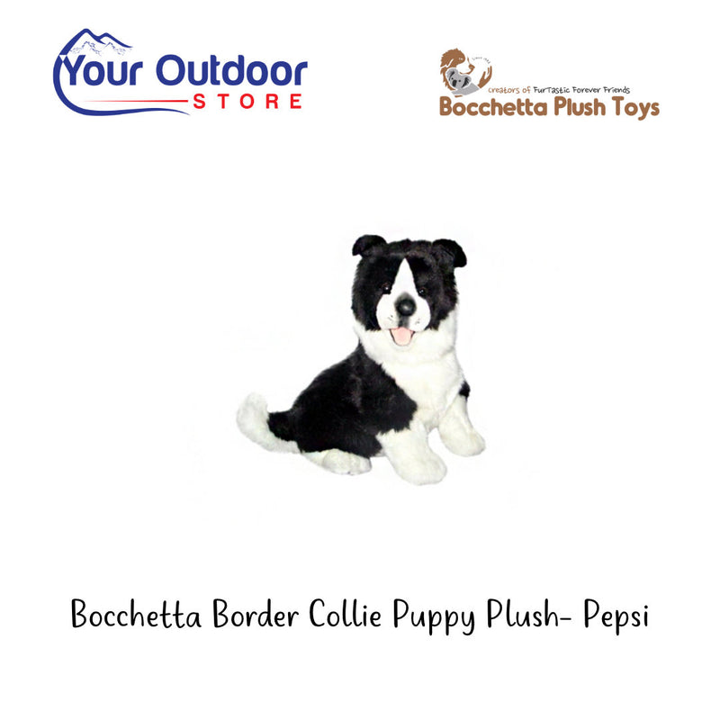 Border Collie | Bocchetta Border Collie Puppy Plush Toy- Pepsi. Hero Image with logos and title
