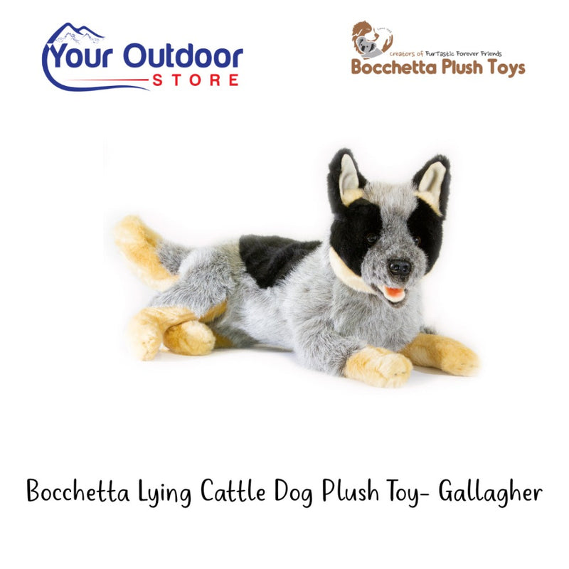 Bocchetta Lying Cattle Dog Plush Toy - Gallagher. Hero Image with title and logos