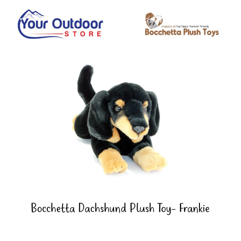 Black / Tan | Bocchetta Dachshund Plush Toy - Frankie. Hero image with title and logos
