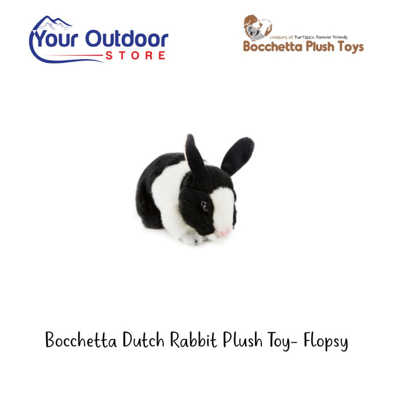 Bocchetta Dutch Rabbit - Flopsy. Hero Image Showing Logos and Title.