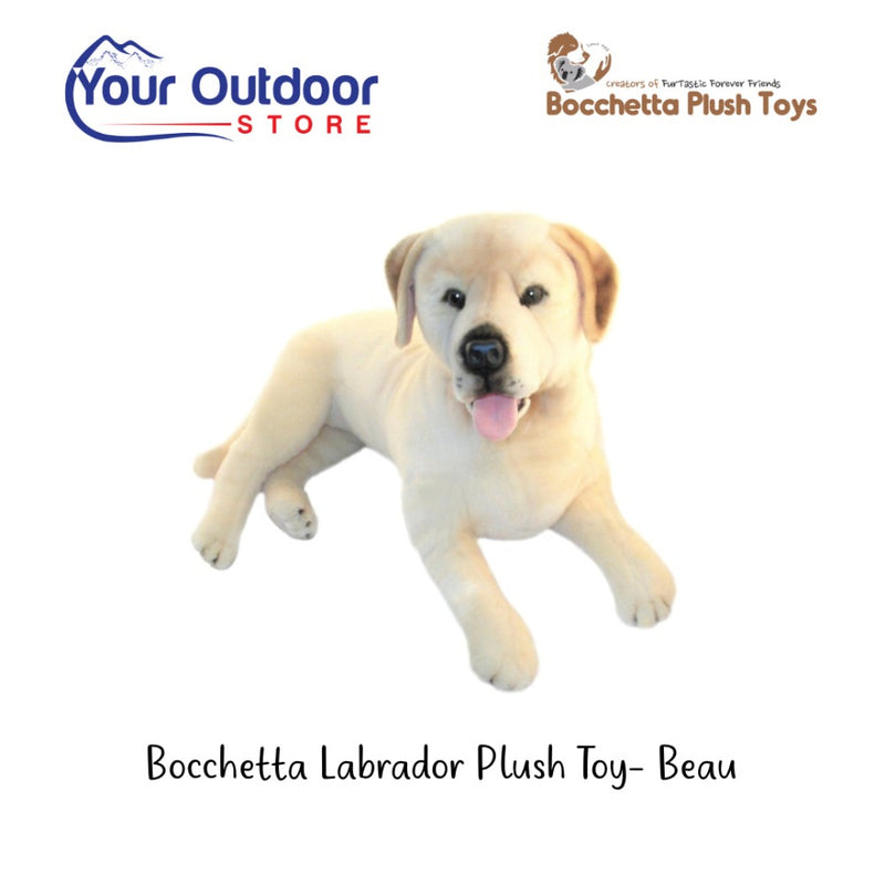 White | Bocchetta Labrador Plush Toys - Beau. Hero image with logo and title
