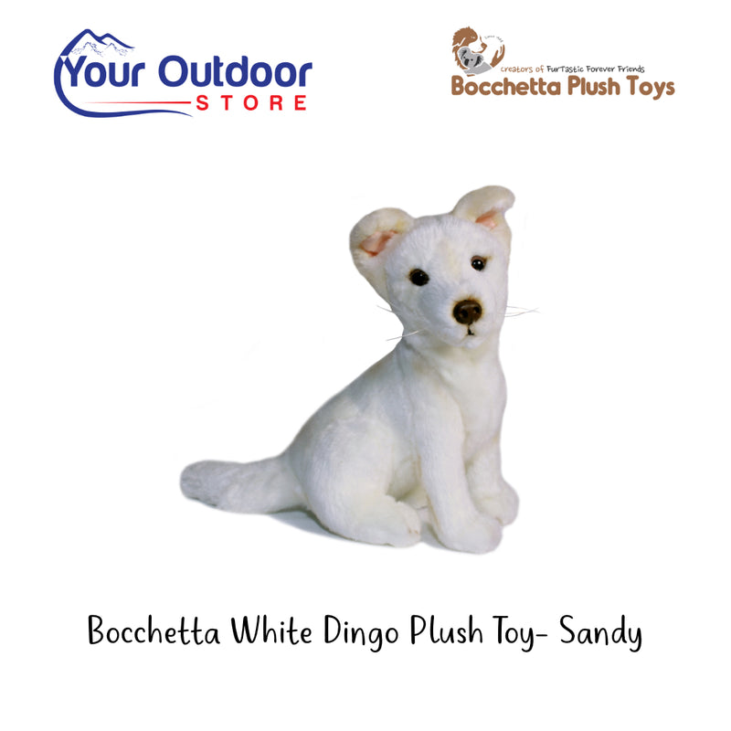 White | Bocchetta Dingo Plush Toy - Sandy. Hero with logo and title