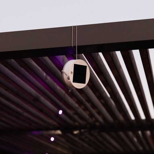 Multi | Base hanging with lights up and on